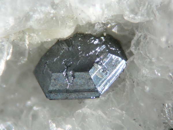 calcosina xtal 3mm web