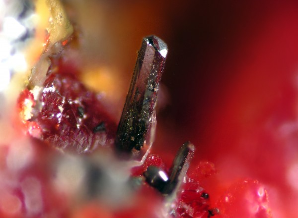 Parapierrotita, una rara sulfosal de talio, que forma bonitos cristales monoclínicos. Sobre Rejalgar. De la localidad tipo, Allchar (Macedonia) 