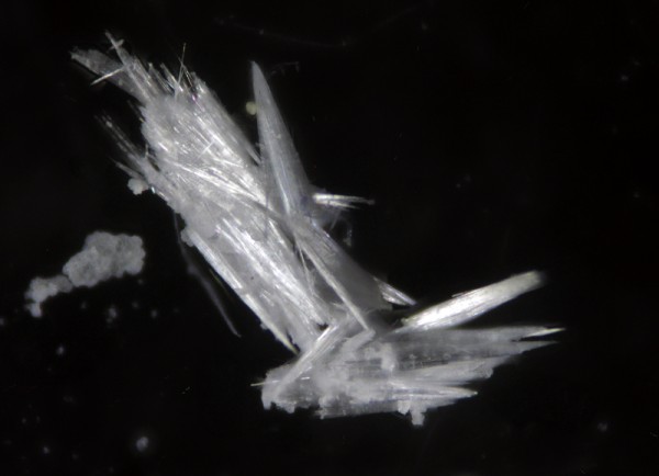 hidroxyapatito web