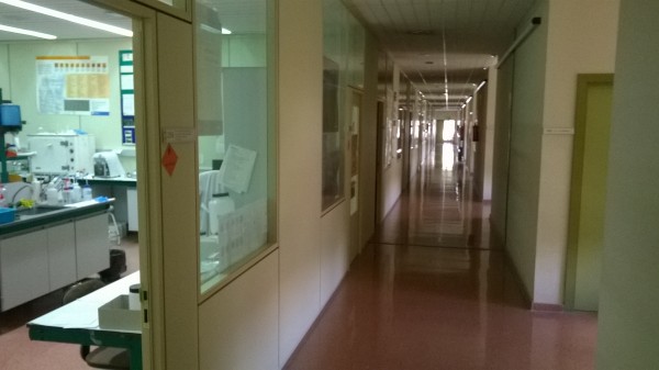 WP_20140916_004