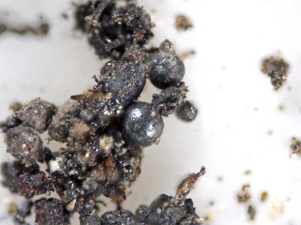micrometeoritos web3
